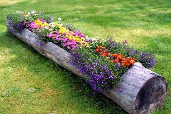 Parterre de fleur moderne avec une tranche d'arbre