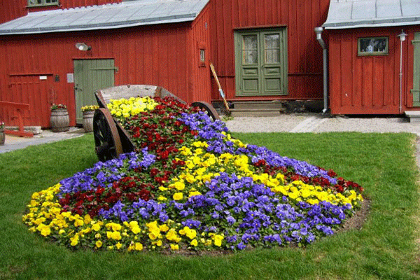 Parterre de fleur moderne dans un chariot