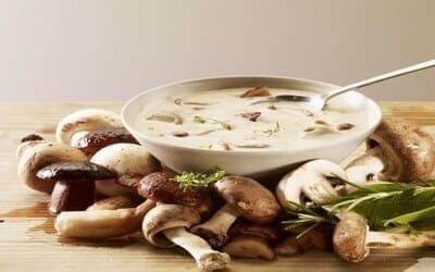 Soupe aux champignons avec du pain grillé