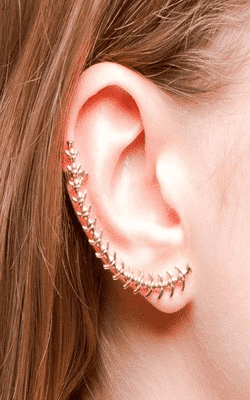 Quelle boucle d'oreille grimpante seront à la mode en 2020 ?