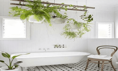 salle de bain moderne plantes (2)