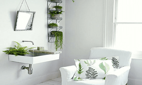 salle de bain moderne plantes 