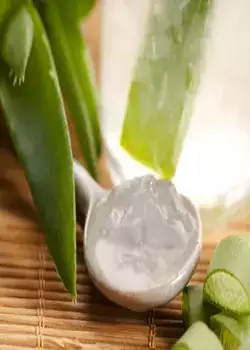 Gel d'aloe vera pour se débarrasser de la cellulite