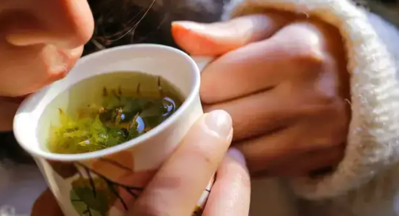 Tisane pour maigrir : les 7 meilleures tisanes brûle-graisse