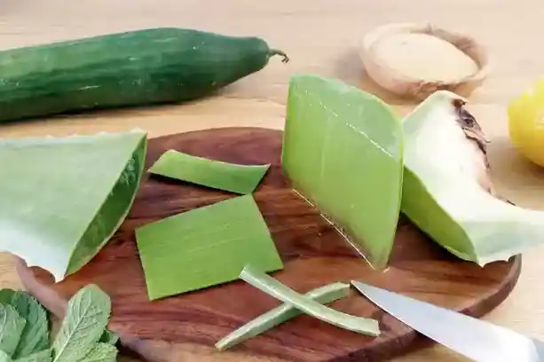 Concombre et aloe vera pour blanchir la vulve naturellement