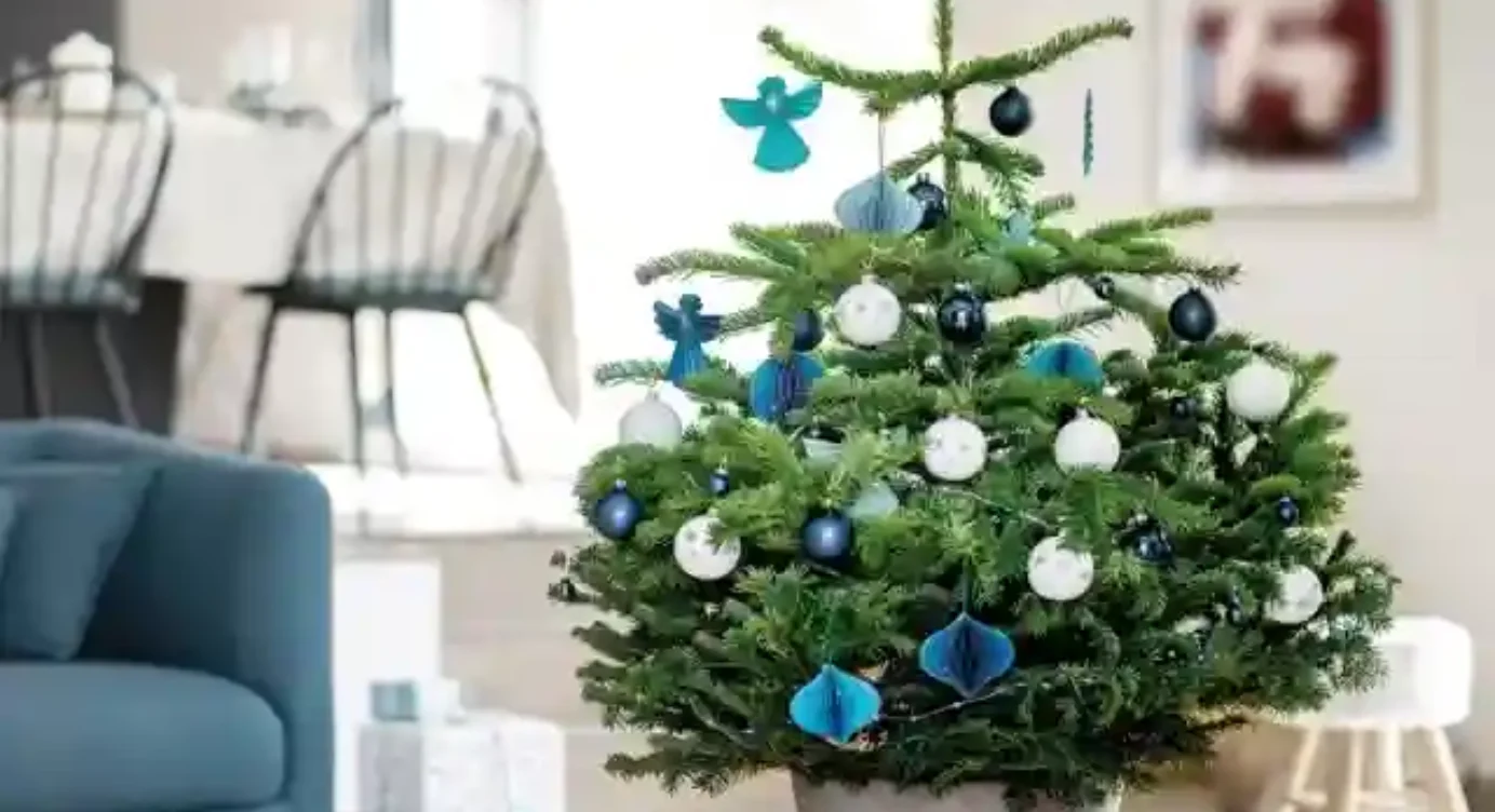 Sapin de Noël : 20+ nouvelles idées de décoration